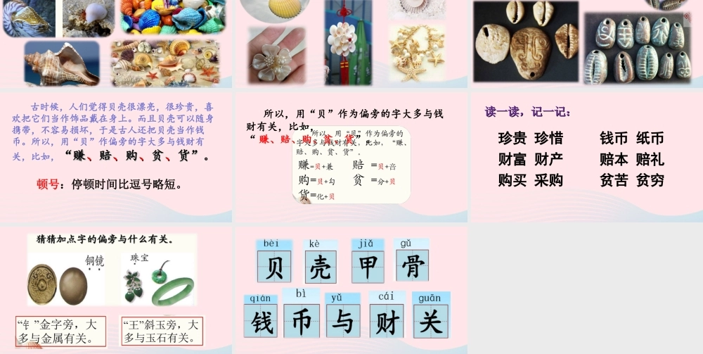二年级语文下册 识字 3《贝的故事》课件 新人教版-新人教版小学二年级下册语文课件