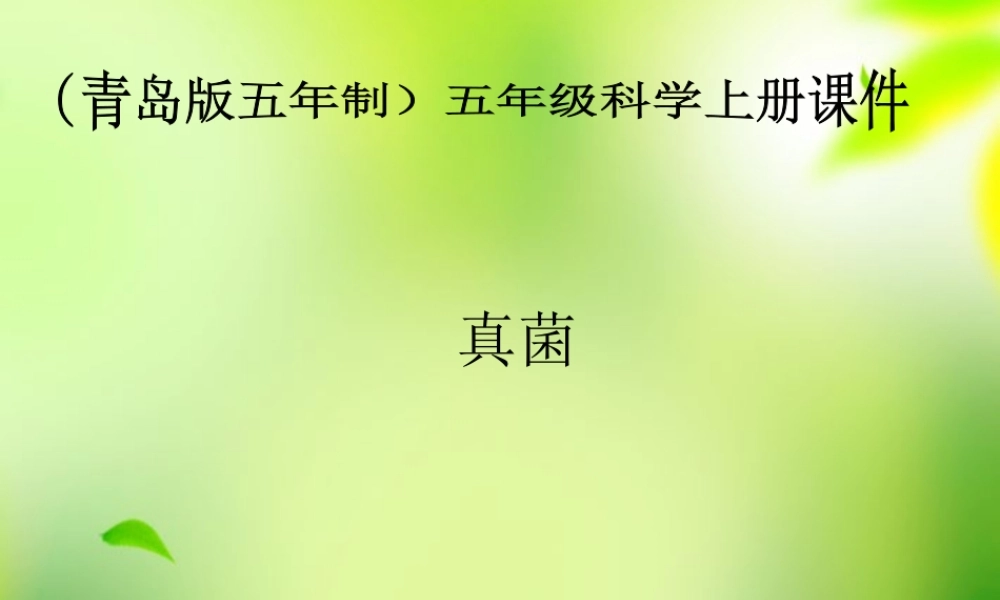五年级科学上册 真菌 2课件 青岛版