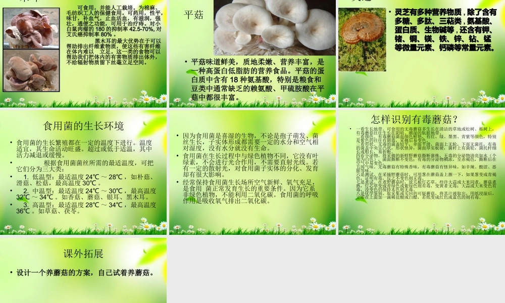 五年级科学上册 真菌 2课件 青岛版