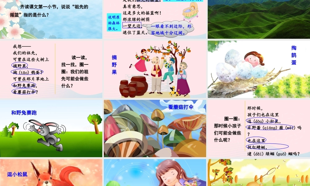 二年级语文下册 课文7 23《祖先的摇篮》教学课件 新人教版-新人教版小学二年级下册语文课件