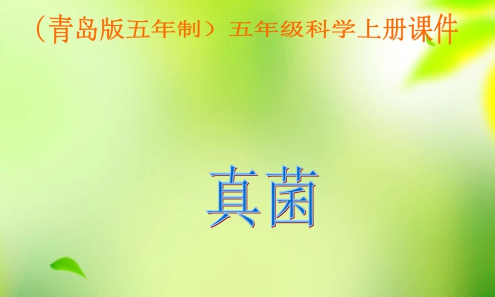 五年级科学上册 真菌 3课件 青岛版