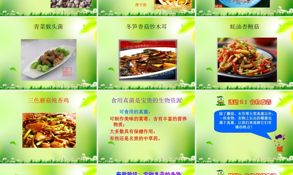 五年级科学上册 真菌 4课件 青岛版