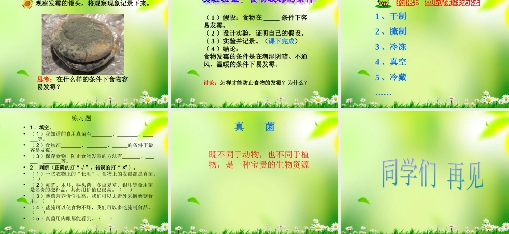 五年级科学上册 真菌 4课件 青岛版