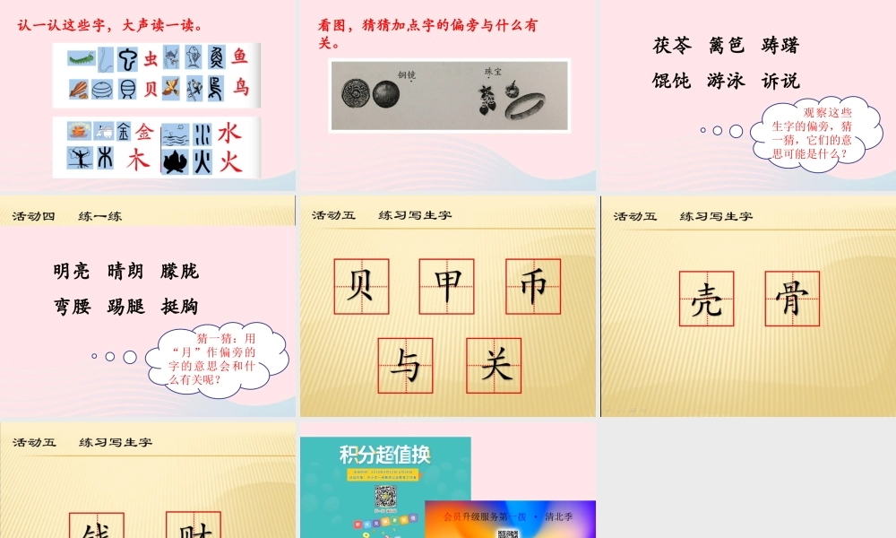 二年级语文下册 识字 3《贝的故事》课件 新人教版-新人教级下册语文课件