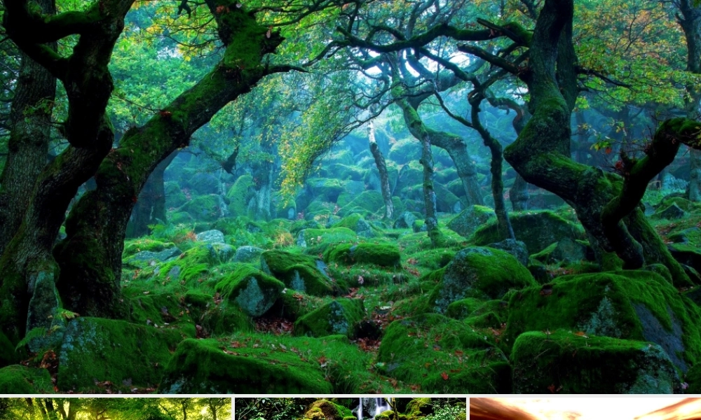 二年级语文下册 课文7 23《祖先的摇篮》教学课件 新人教版-新人教级下册语文课件