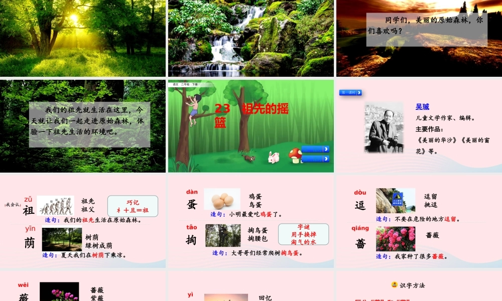 二年级语文下册 课文7 23《祖先的摇篮》教学课件 新人教版-新人教级下册语文课件