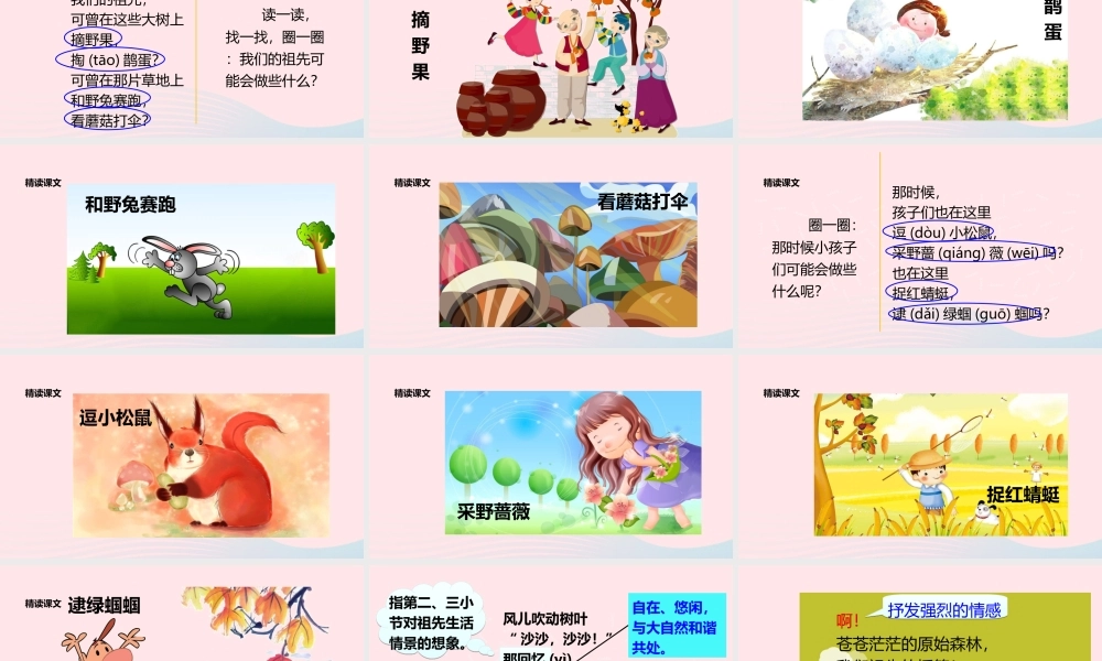 二年级语文下册 课文7 23《祖先的摇篮》课件 新人教版-新人教版小学二年级下册语文课件