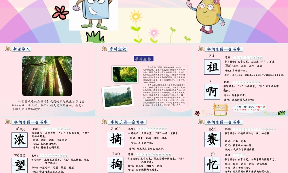 二年级语文下册 课文7 23《祖先的摇篮》课件1 新人教版-新人教版小学二年级下册语文课件