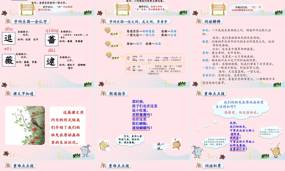 二年级语文下册 课文7 23《祖先的摇篮》课件1 新人教版-新人教版小学二年级下册语文课件