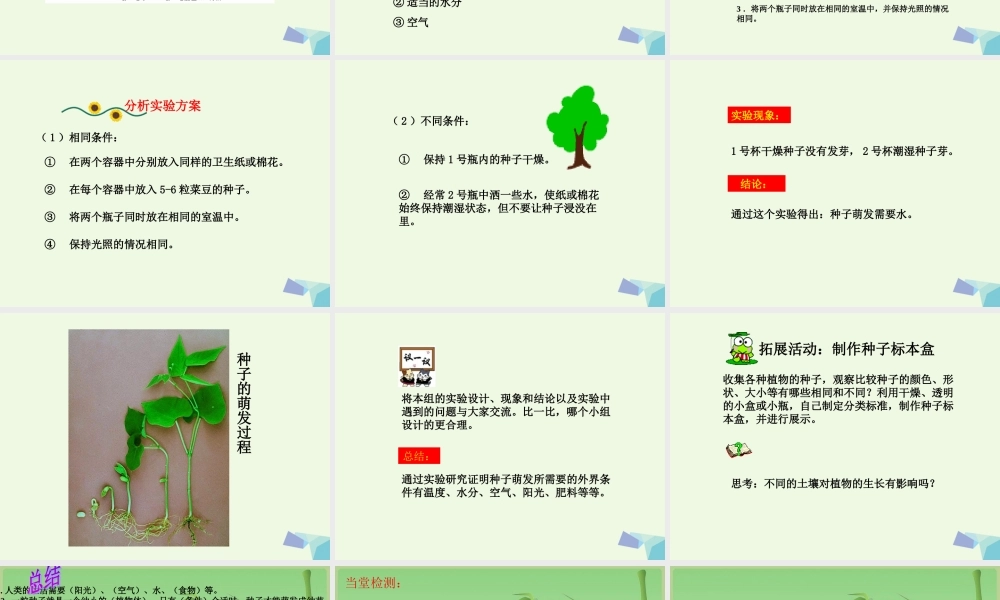 五年级科学上册 第1课 小苗的诞生课件1 冀教版-冀教版小学五年级上册自然科学课件