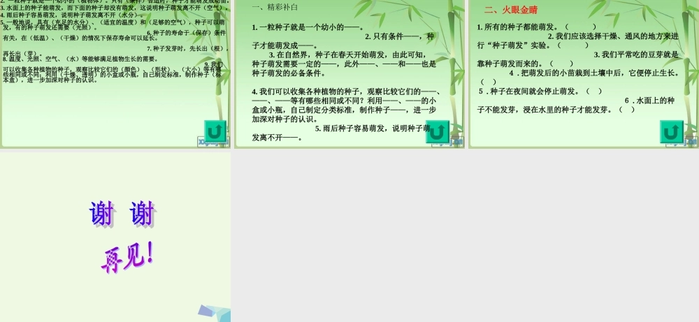 五年级科学上册 第1课 小苗的诞生课件1 冀教版-冀教版小学五年级上册自然科学课件