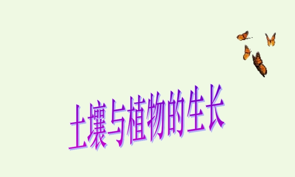 五年级科学上册 第2课 土壤与植物的生长课件3 冀教版-冀教版小学五年级上册自然科学课件