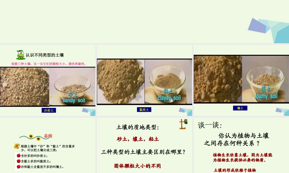 五年级科学上册 第2课 土壤与植物的生长课件3 冀教版-冀教版小学五年级上册自然科学课件
