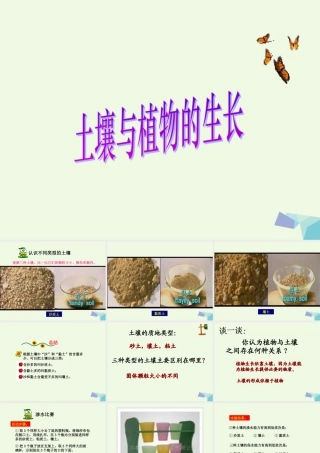 五年级科学上册 第2课 土壤与植物的生长课件3 冀教版-冀教版小学五年级上册自然科学课件
