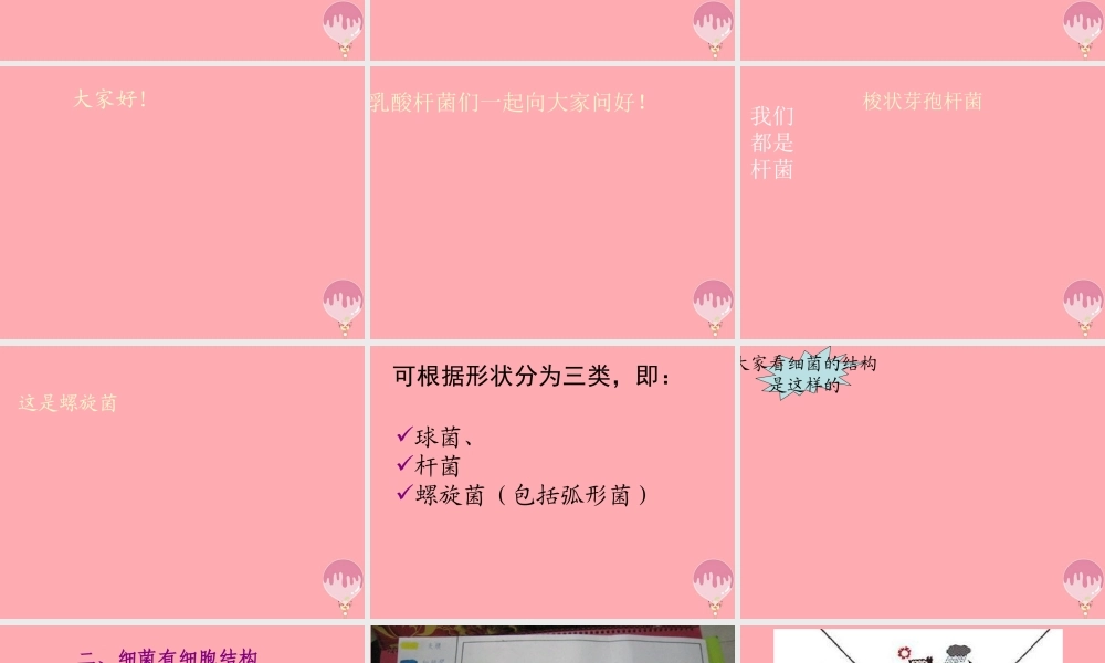 五年级科学上册 第2课 细菌课件1 青岛版-青岛版小学五年级上册自然科学课件