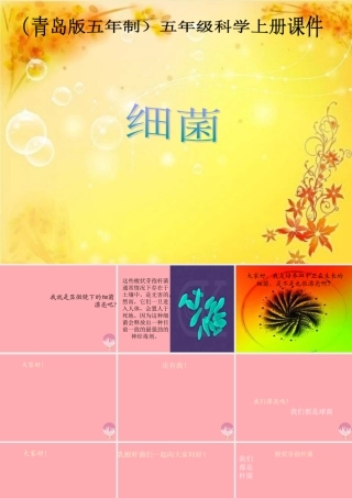 五年级科学上册 第2课 细菌课件1 青岛版-青岛版小学五年级上册自然科学课件
