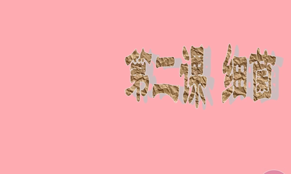 五年级科学上册 第2课 细菌课件2 青岛版-青岛版小学五年级上册自然科学课件