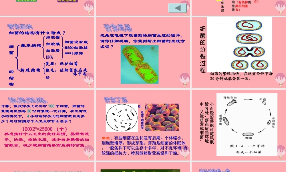 五年级科学上册 第2课 细菌课件2 青岛版-青岛版小学五年级上册自然科学课件