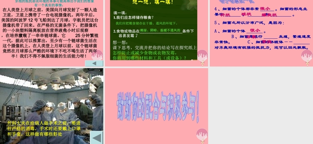 五年级科学上册 第2课 细菌课件2 青岛版-青岛版小学五年级上册自然科学课件