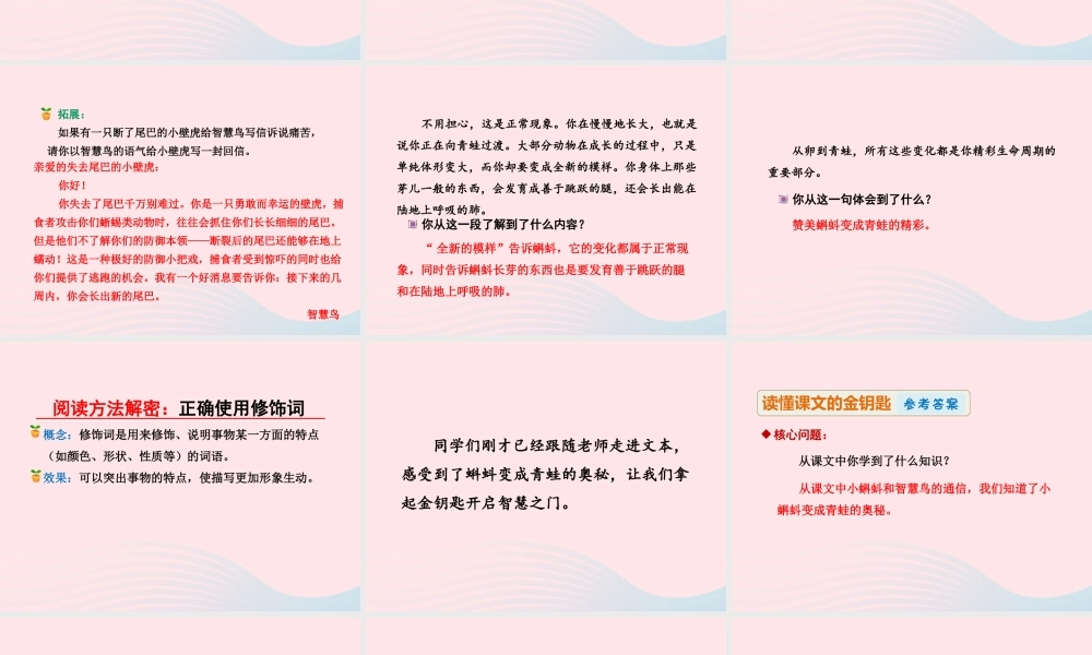 二年级语文下册 课文4 第17课《智慧鸟信箱》（第2课时）课件 苏教版-苏教版小学二年级下册语文课件