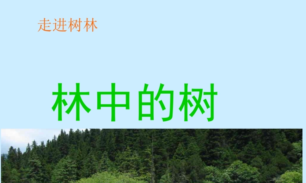 五年级科学上册 第2课《林中的树》课件（4） 鄂教版-鄂教版小学五年级上册自然科学课件