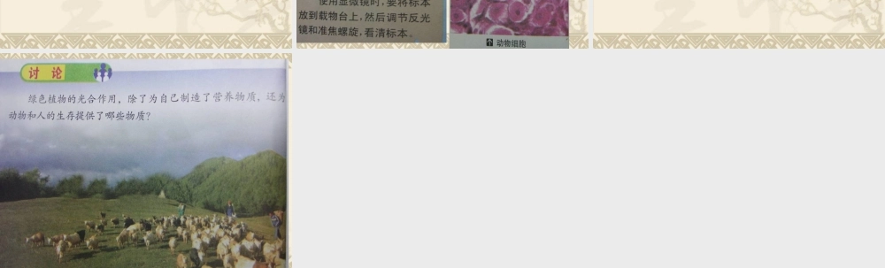 五年级科学上册 第2课《林中的树》课件（4） 鄂教版-鄂教版小学五年级上册自然科学课件