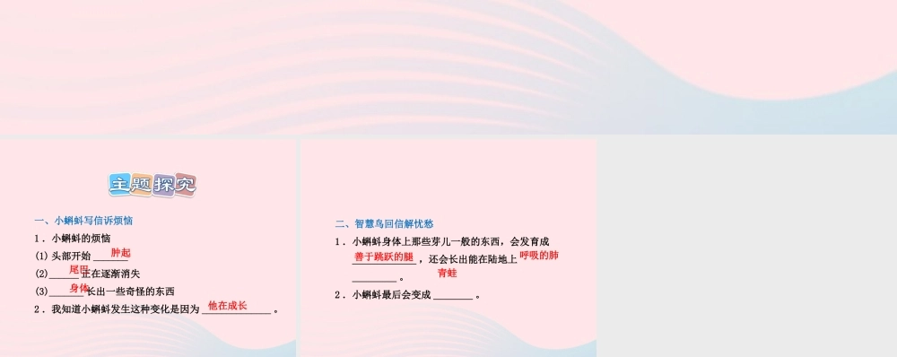 二年级语文下册 课文4 第17课《智慧鸟信箱》习题课件 苏教版（B组-提升篇）课件