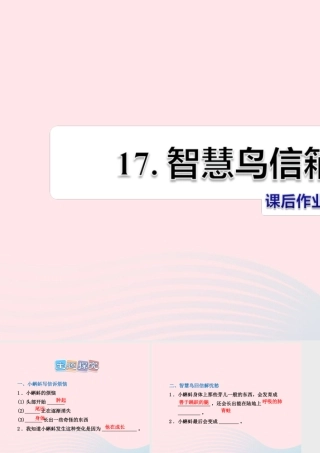二年级语文下册 课文4 第17课《智慧鸟信箱》习题课件 苏教版（B组-提升篇）课件