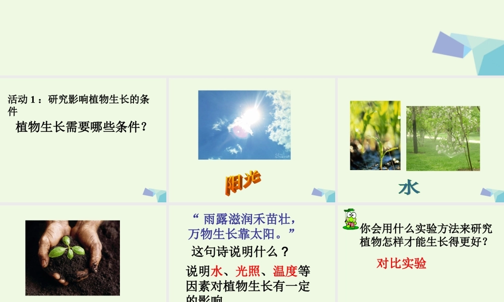 五年级科学上册 第3课 怎样使植物长得更好课件2 冀教版-冀教版小学五年级上册自然科学课件