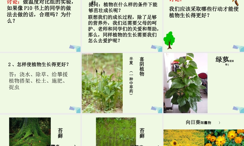 五年级科学上册 第3课 怎样使植物长得更好课件2 冀教版-冀教版小学五年级上册自然科学课件