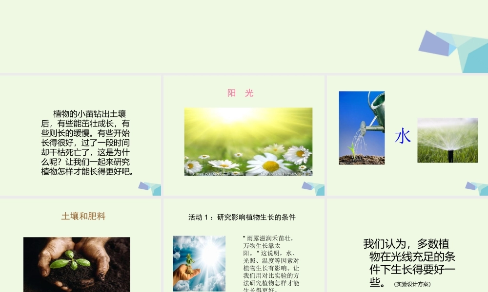 五年级科学上册 第3课 怎样使植物长得更好课件3 冀教版-冀教版小学五年级上册自然科学课件