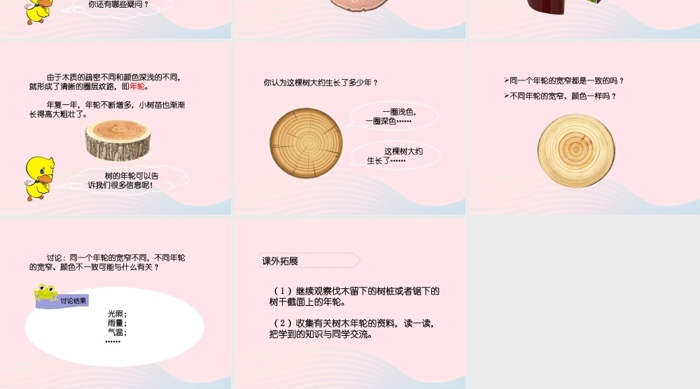 五年级科学上册 第3课《树木中的纹路》课件（1） 鄂教版-鄂教版小学五年级上册自然科学课件