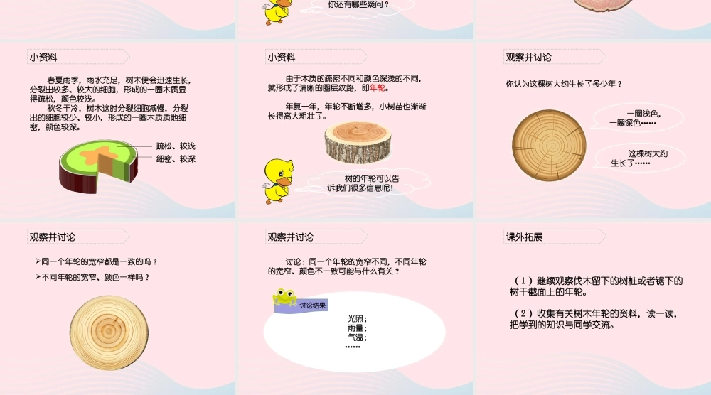 五年级科学上册 第3课《树木中的纹路》课件（2） 鄂教版-鄂教版小学五年级上册自然科学课件