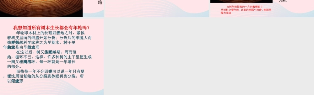 五年级科学上册 第3课《树木中的纹路》课件（3） 鄂教版-鄂教版小学五年级上册自然科学课件