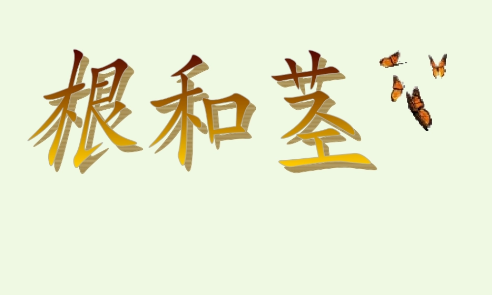 五年级科学上册 第4课 根和茎课件1 冀教版-冀教版小学五年级上册自然科学课件