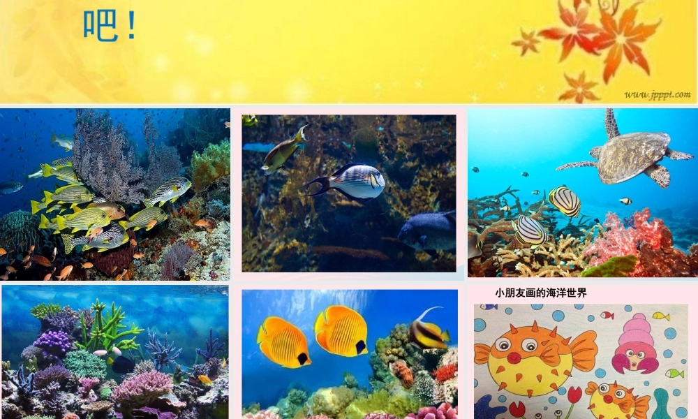 五年级信息技术下册 第十三课《美丽的海洋世界》课件 冀教版-冀教版小学五年级下册信息技术课件