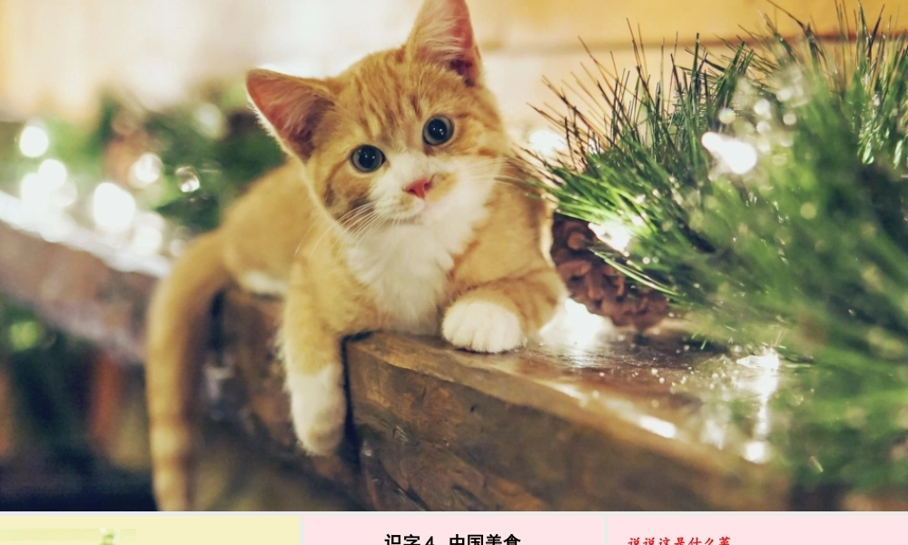 二年级语文下册 识字4《中国美食》教学课件2 新人教版-新人教版小学二年级下册语文课件