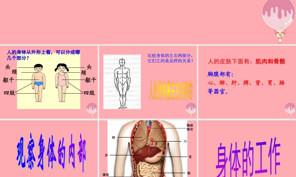 五年级科学上册 第4课 我们的身体课件1 青岛版-青岛版小学五年级上册自然科学课件