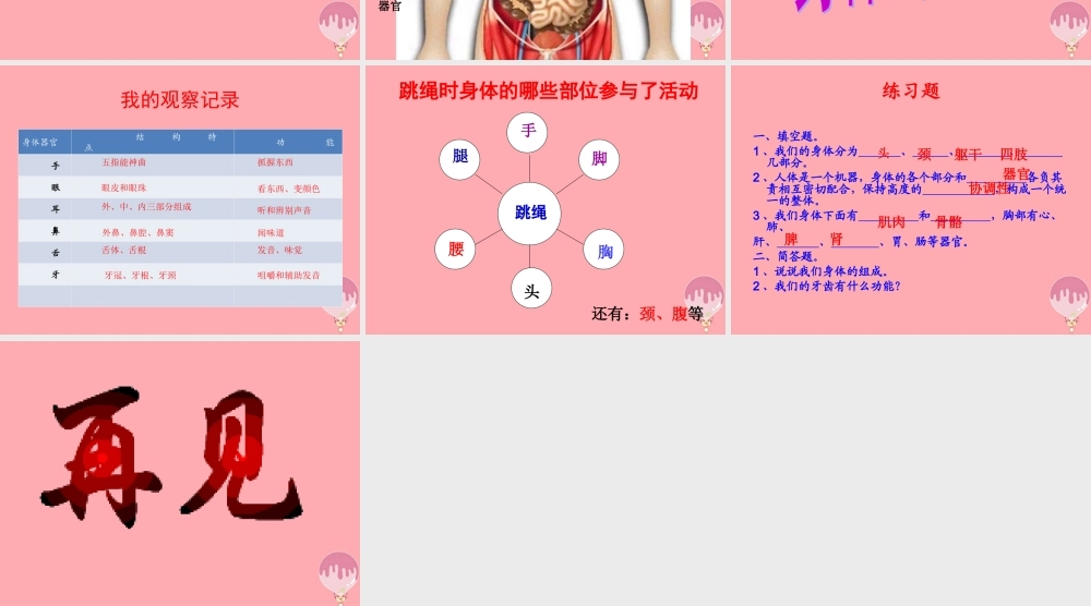 五年级科学上册 第4课 我们的身体课件1 青岛版-青岛版小学五年级上册自然科学课件