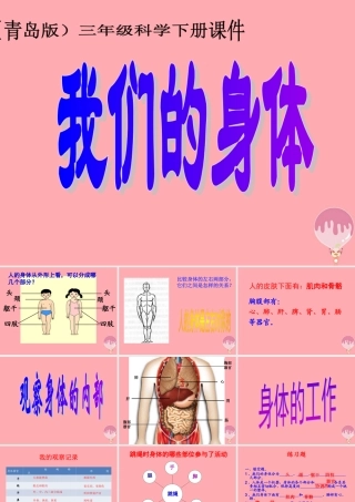 五年级科学上册 第4课 我们的身体课件1 青岛版-青岛版小学五年级上册自然科学课件