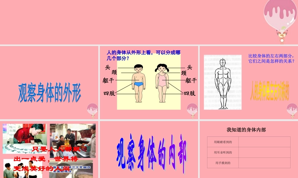 五年级科学上册 第4课 我们的身体课件2 青岛版-青岛版小学五年级上册自然科学课件