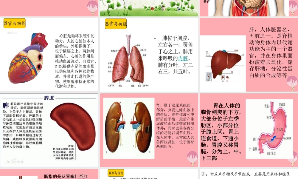 五年级科学上册 第4课 我们的身体课件3 青岛版-青岛版小学五年级上册自然科学课件