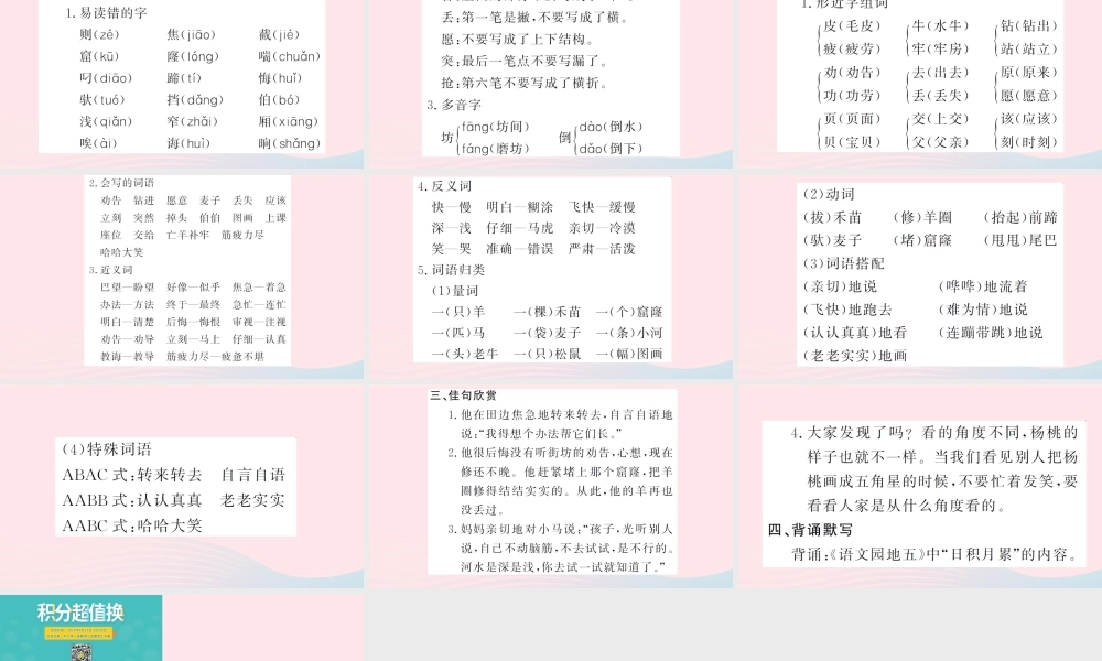 二年级语文下册 课文4考点梳理习题课件 新人教版-新人教版小学二年级下册语文课件