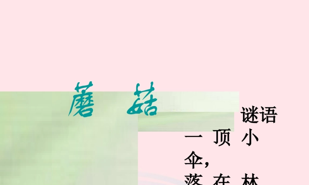 五年级科学上册 第4课《蘑菇》课件（1） 鄂教版-鄂教版小学五年级上册自然科学课件