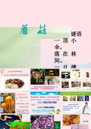 五年级科学上册 第4课《蘑菇》课件（1） 鄂教版-鄂教版小学五年级上册自然科学课件