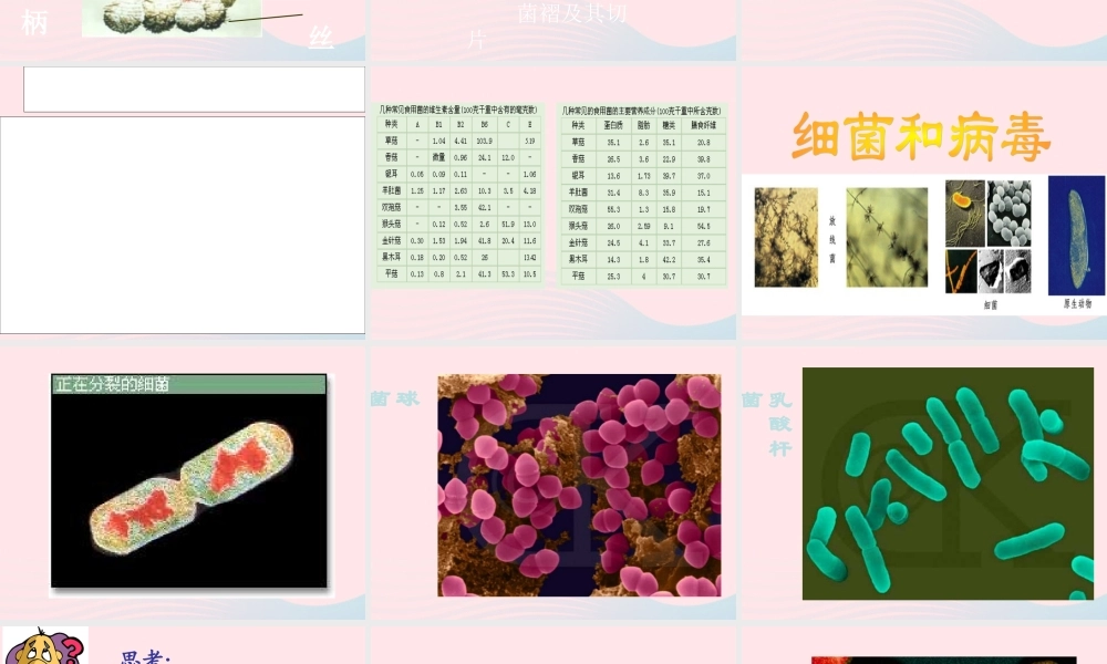 五年级科学上册 第4课《蘑菇》课件（2） 鄂教版-鄂教版小学五年级上册自然科学课件