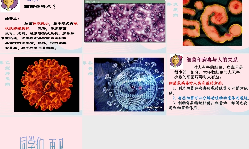 五年级科学上册 第4课《蘑菇》课件（2） 鄂教版-鄂教版小学五年级上册自然科学课件