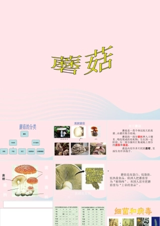 五年级科学上册 第4课《蘑菇》课件（2） 鄂教版-鄂教版小学五年级上册自然科学课件