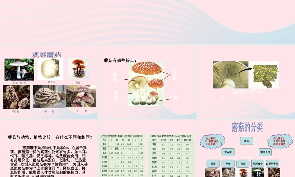 五年级科学上册 第4课《蘑菇》课件（3） 鄂教版-鄂教版小学五年级上册自然科学课件