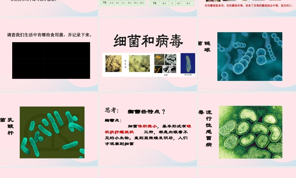 五年级科学上册 第4课《蘑菇》课件（3） 鄂教版-鄂教版小学五年级上册自然科学课件